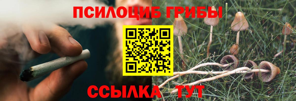Воронеж  Галлюциногенные грибы Cubensis  Вход с VPN  Галлюциногенные грибы мухоморы 